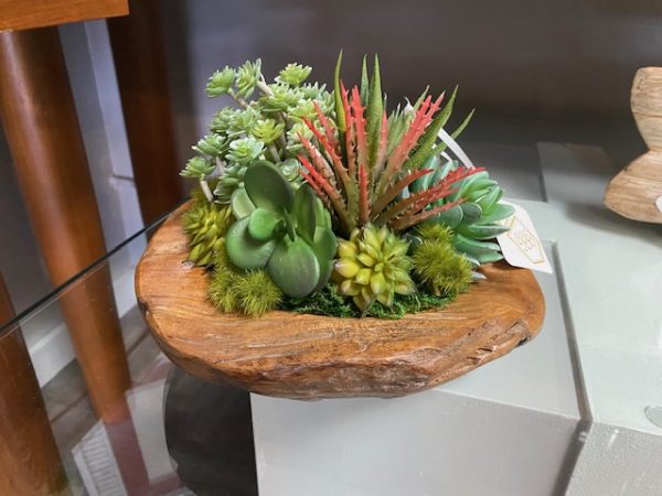 Succulent Table Arrangement